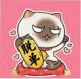 用户 追番的猫 头像